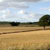 Revised EU Fertiliser Regs could influence UK markets for composts and digestates