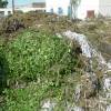 Draft ORG �feedstock quality package� to strive for the quality of biowaste delivered to composting