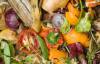 Report on EU food waste